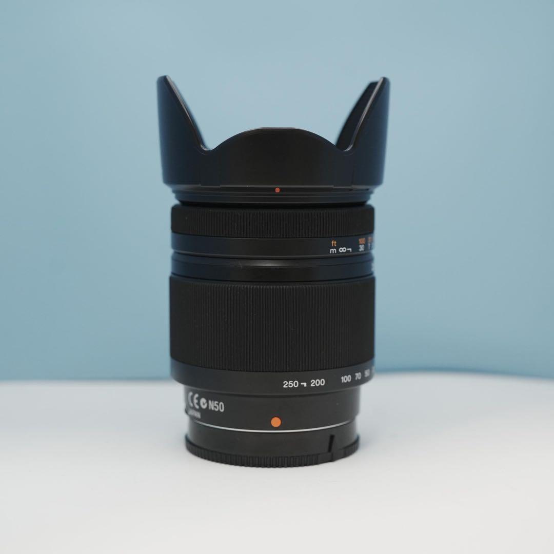 SONY純正 18-250mm 望遠レンズ 美品 a3927