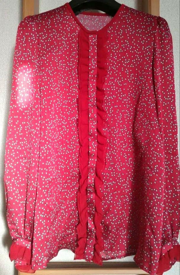 ご購入予定者様ありタグ付新品未使用ANAYI長袖ブラウス３８ 定価31,900円