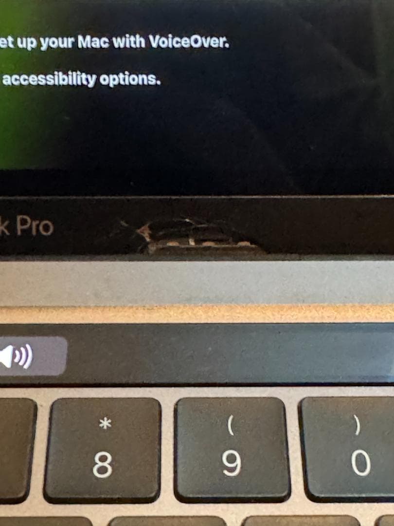 M1 Macbook Pro 13.3インチ メモリ 16GB SSD256GB