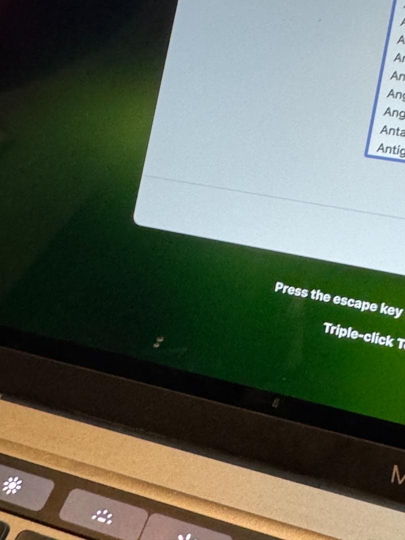 M1 Macbook Pro 13.3インチ メモリ 16GB SSD256GB