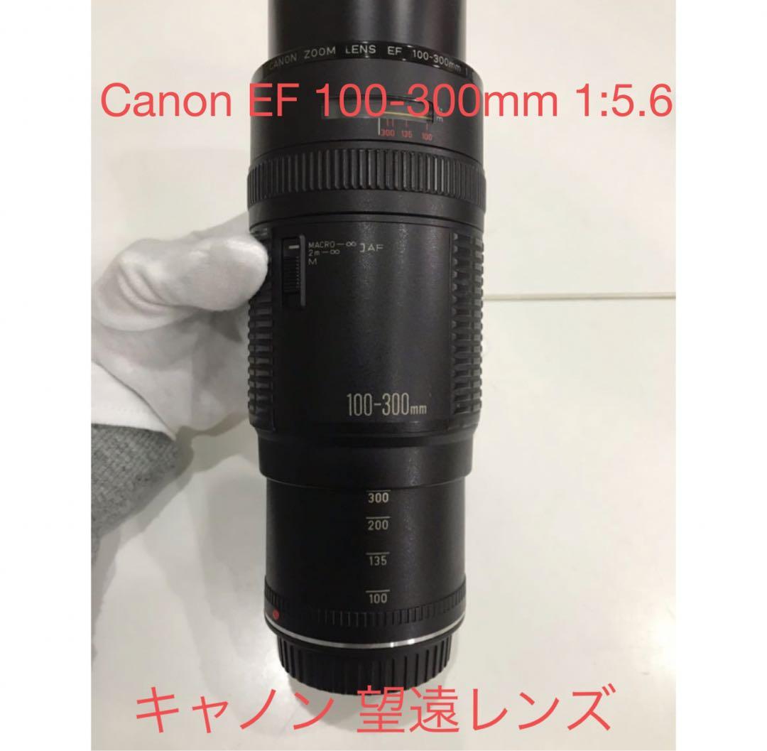 望遠レンズ/スポーツ/イベント/キヤノンCanon EF100-300㎜