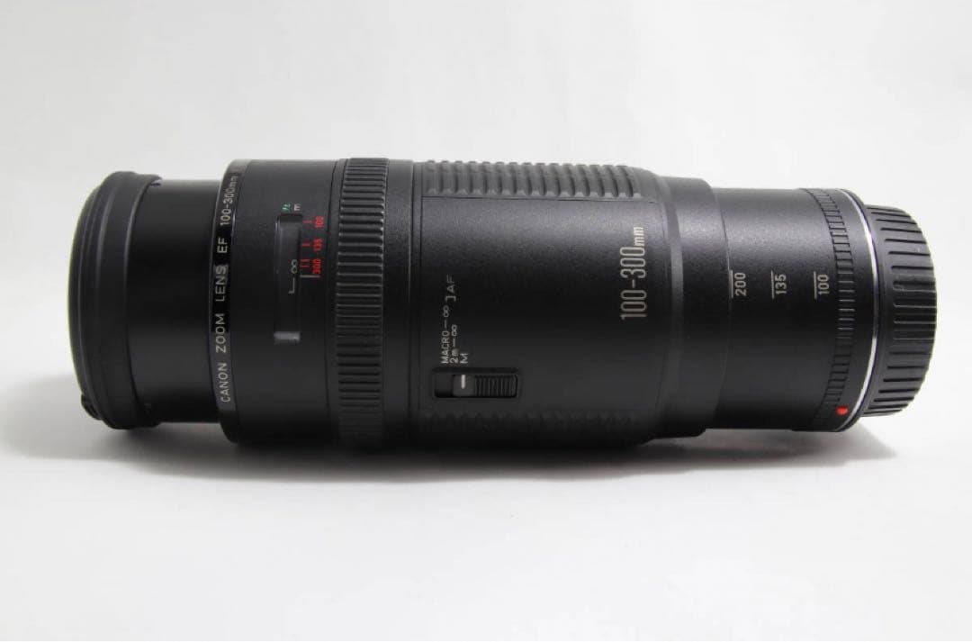望遠レンズ/スポーツ/イベント/キヤノンCanon EF100-300㎜