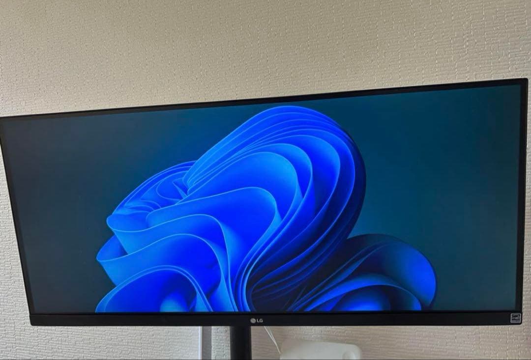 LG モニター ディスプレイ 29WQ600-W