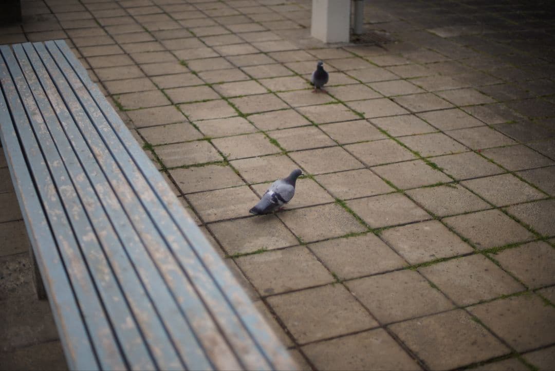 【良品】Nikon Ai-s 50mm f1.4 初期不良保証付き