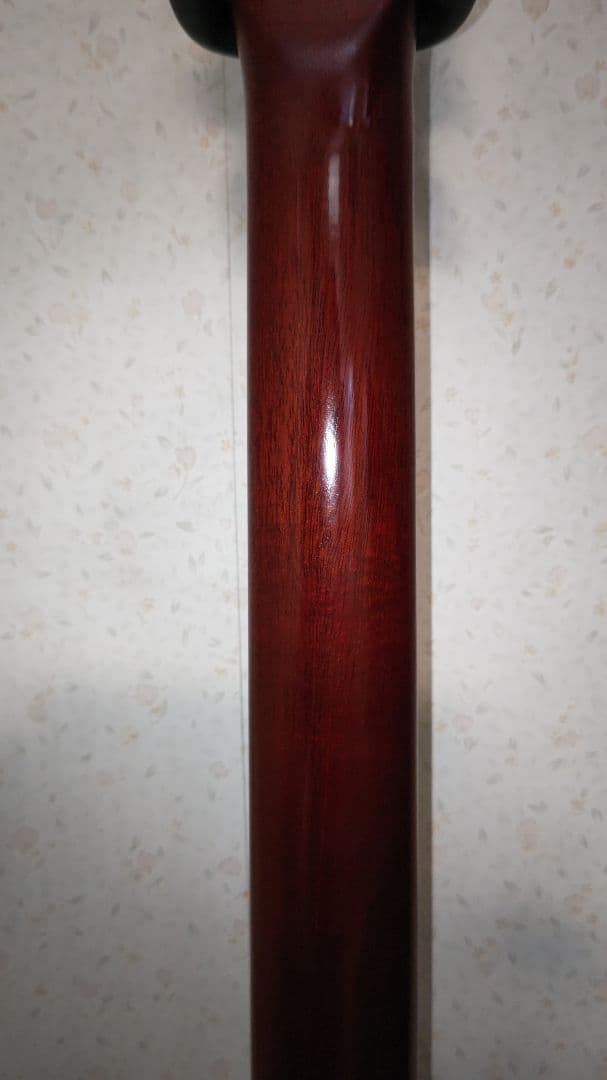 ゴダンギター　Multiac Nylon Encore