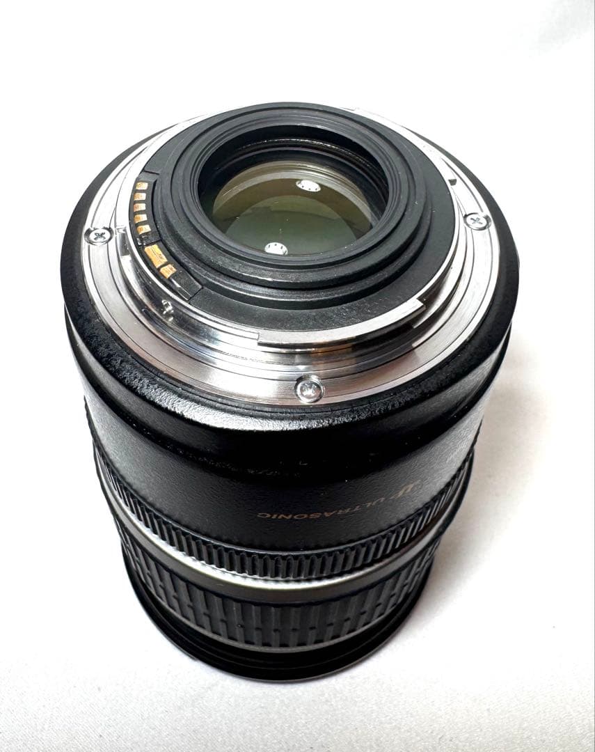 レンズ(ズーム) Canon EF-S 17-55mm F/2.8 #2044