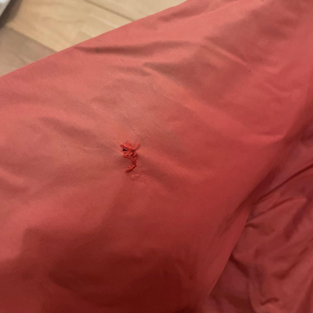 パタゴニア　シェルドシンチラ