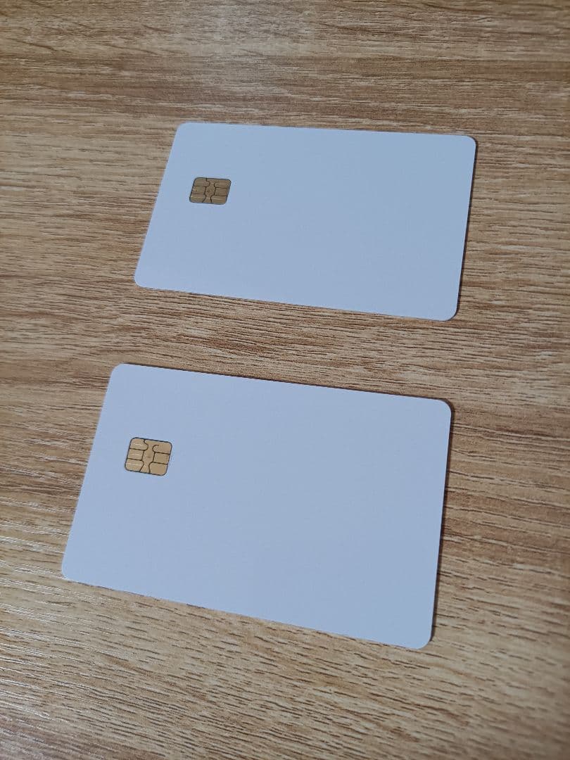 エストラボ　ルミクス ICカード（各50000秒） 2枚セット