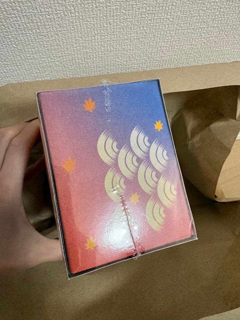 ★シュリンク付 おまけ有★ポケモンセンターヒロシマ ピカチュウ スペシャルBOX