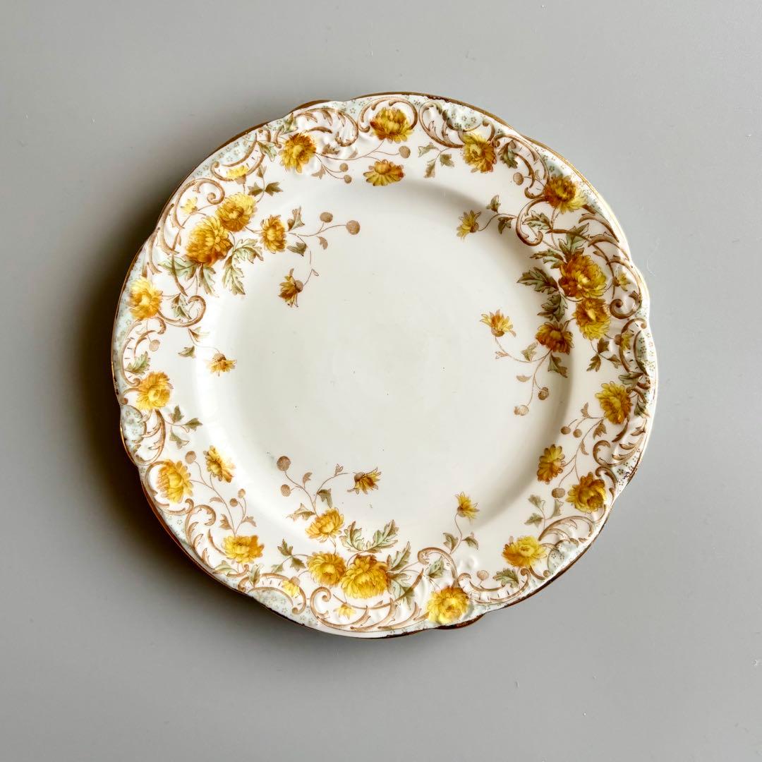 カピ バラ様*°♡