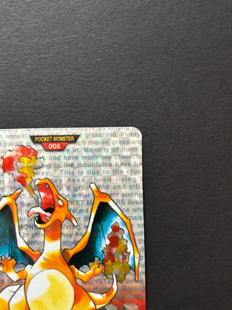 リザードン 006 MONSTERS COLLECTION