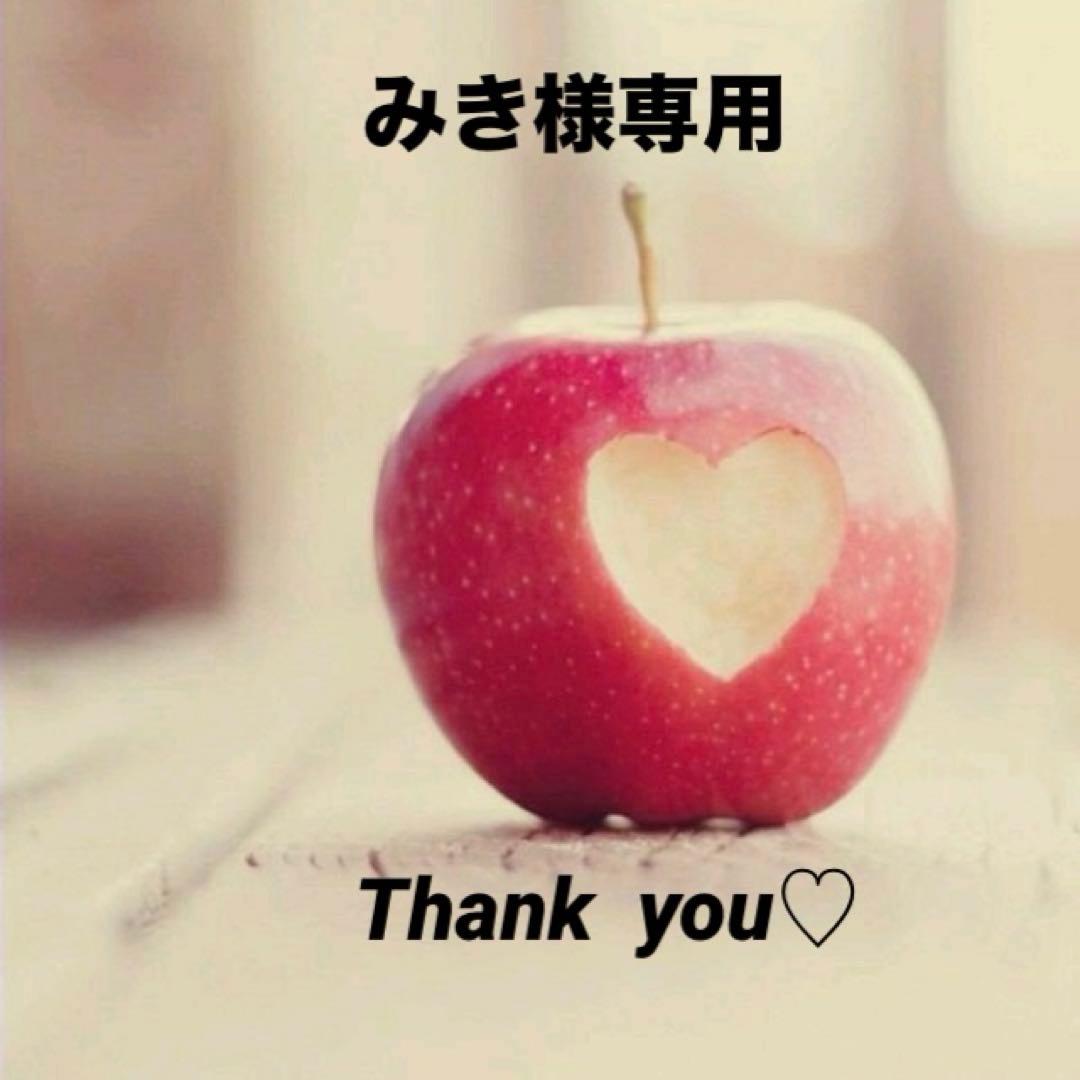 みき【HM】入園入学セット☆レッスンバッグ☆上履き袋☆お着替え袋☆猫柄