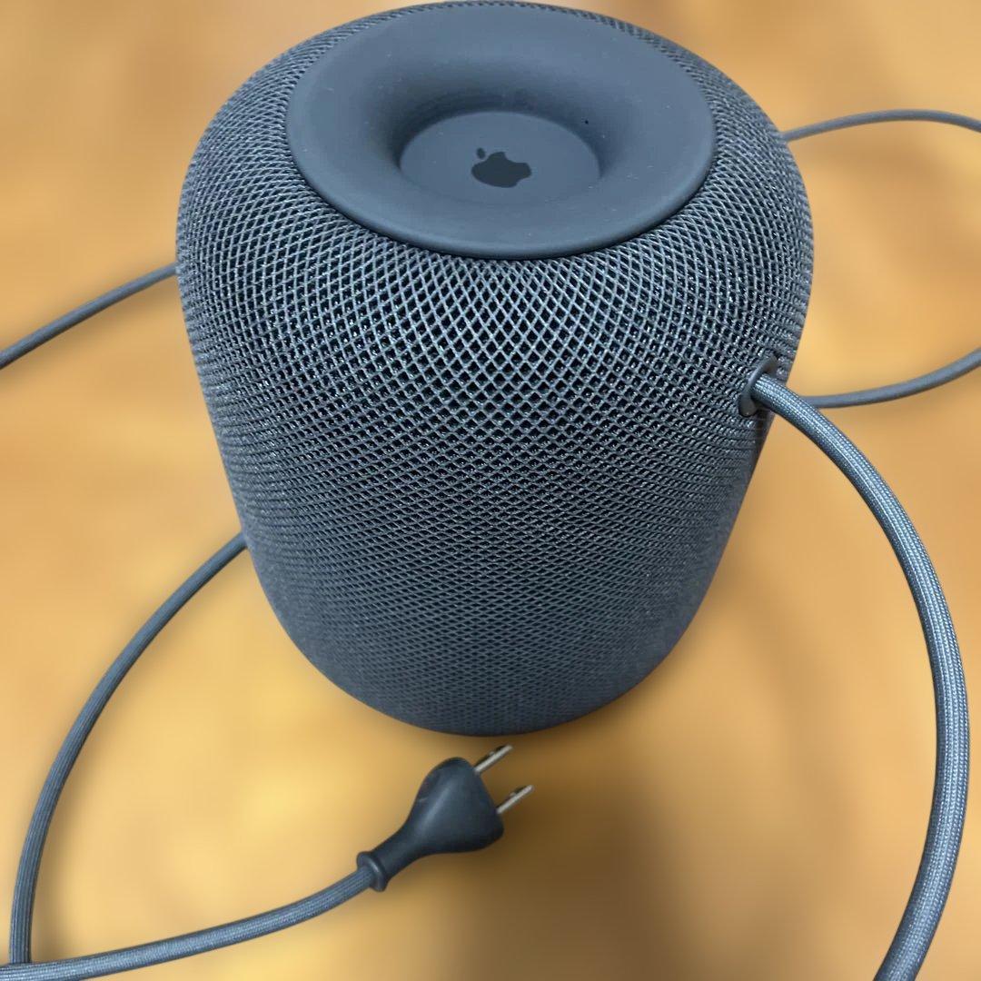 Apple Pod 第1世代　スペースグレー