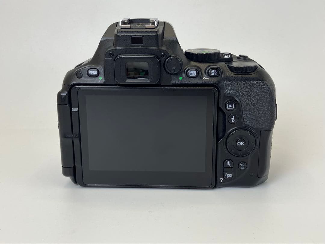 【返品保証・動作確認済】Nikon D5500 レンズキット