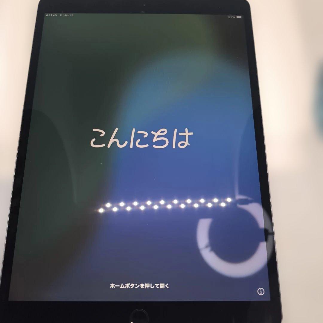 ゴ*ー様 Pad Air第3世代/64GBスペースグレイWi-Fi+Cellul