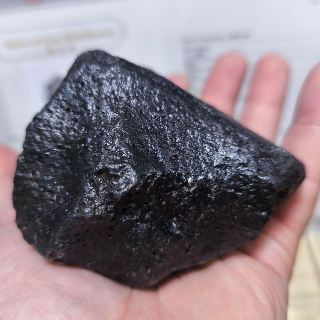 ナンタン隕石 約1.4kg 鑑別書付 極上品質 良型 鉄隕石