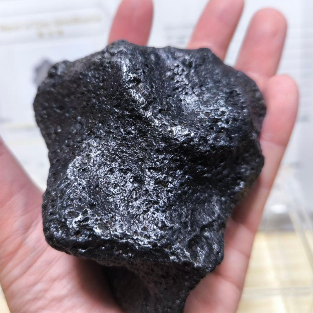 ナンタン隕石 約1.4kg 鑑別書付 極上品質 良型 鉄隕石