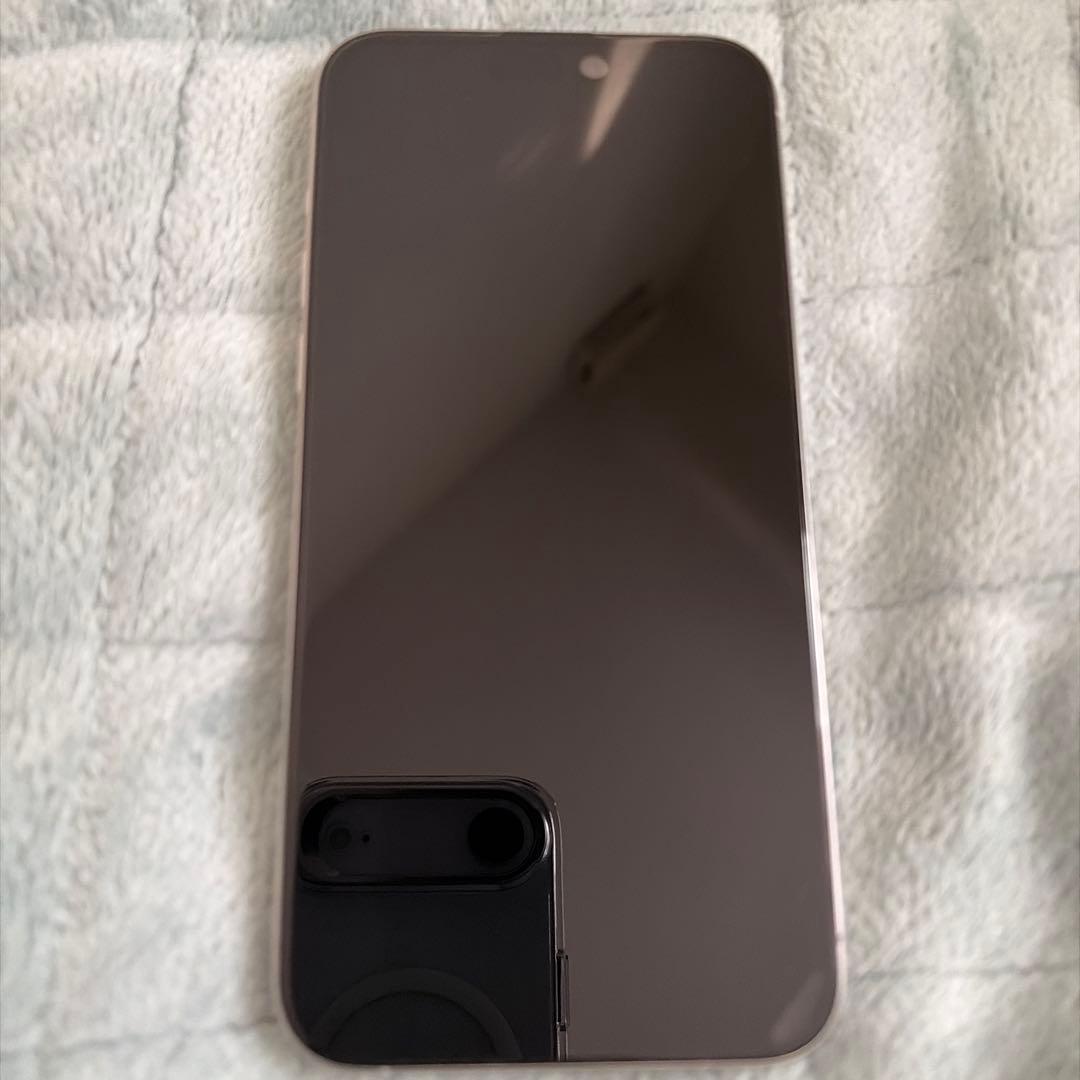 【いまいち】iPhone15 Pro Max 256GB