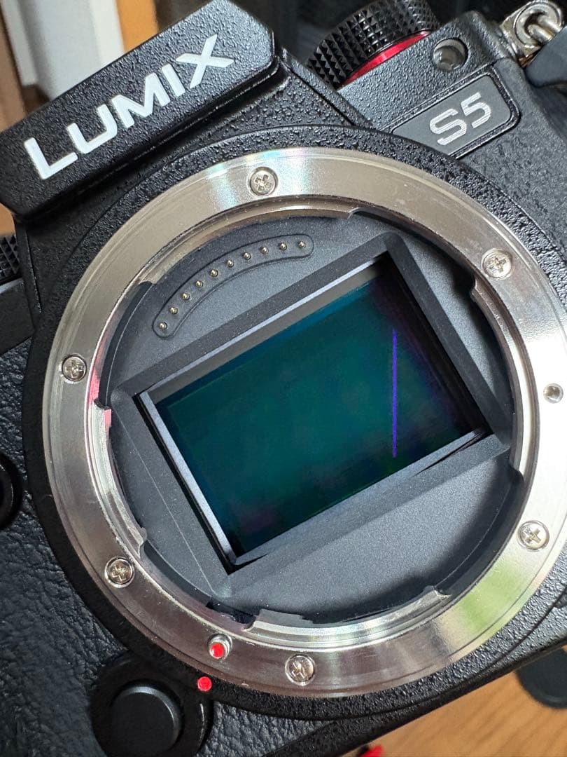 【6/6まで出品】 LUMIX S5 DC-S5【バッテリー無】