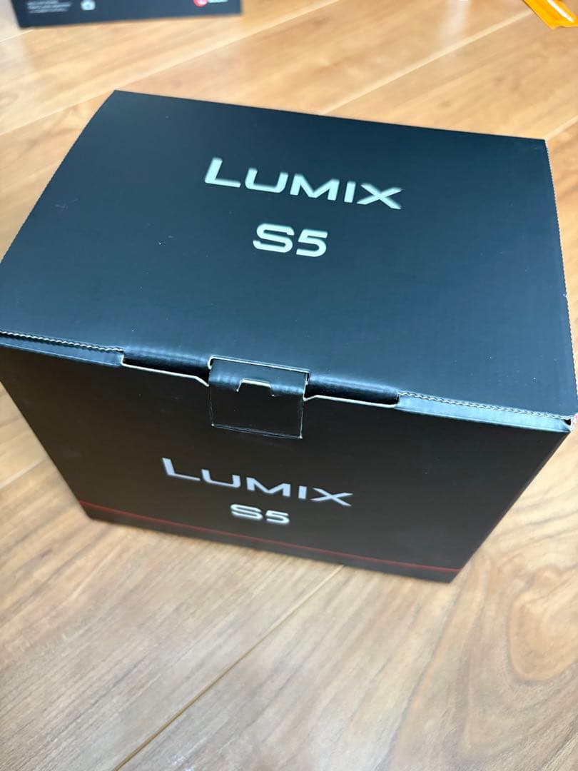 【6/6まで出品】 LUMIX S5 DC-S5【バッテリー無】