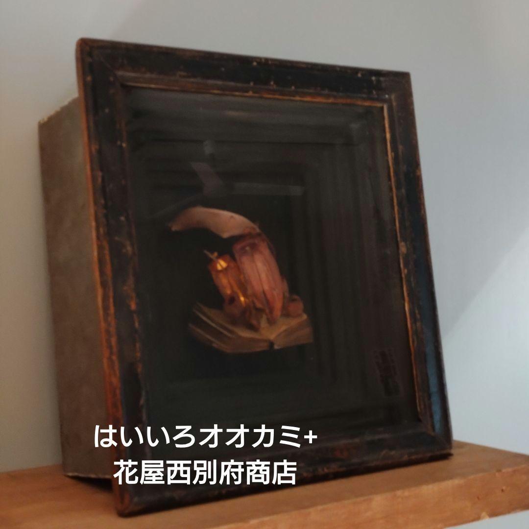 はいいろオオカミ+ 花屋西別府商店