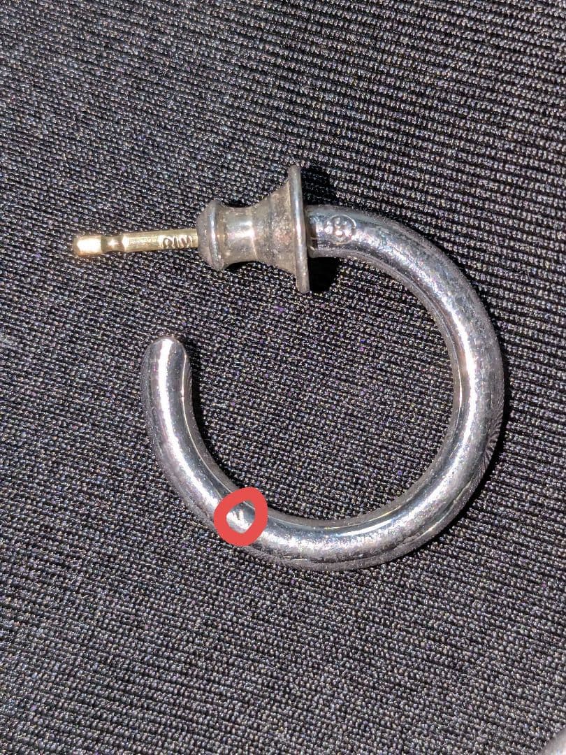 CAREERING PLACEBO 301 (SV) ピアス