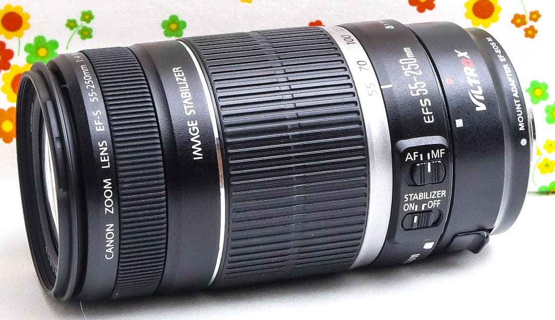 チョコレート　プロフ必読 Canon 55-250mmマウントアダプター付