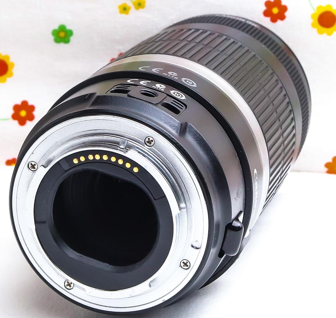 チョコレート　プロフ必読 Canon 55-250mmマウントアダプター付