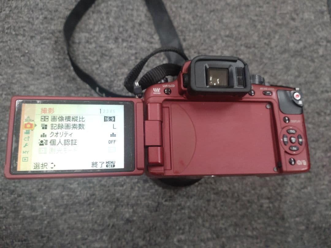 LUMIX GH1 デジタル一眼レフカメラセット