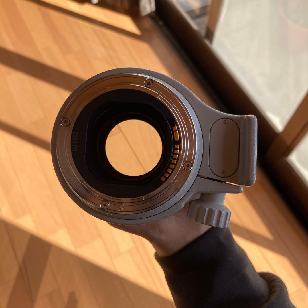 レンズ(ズーム) Canon EF 70-200mm f/2.8L USM