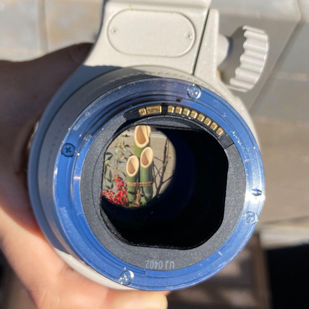 レンズ(ズーム) Canon EF 70-200mm f/2.8L USM