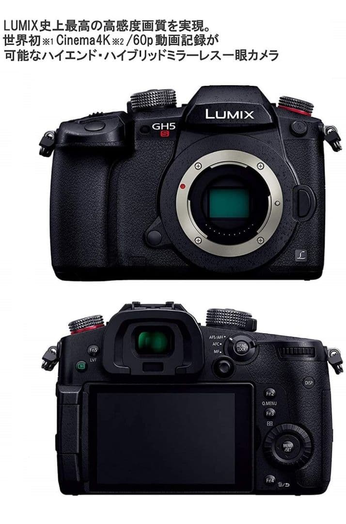 【値下げ】Lumix DC-GH5S-K Camera