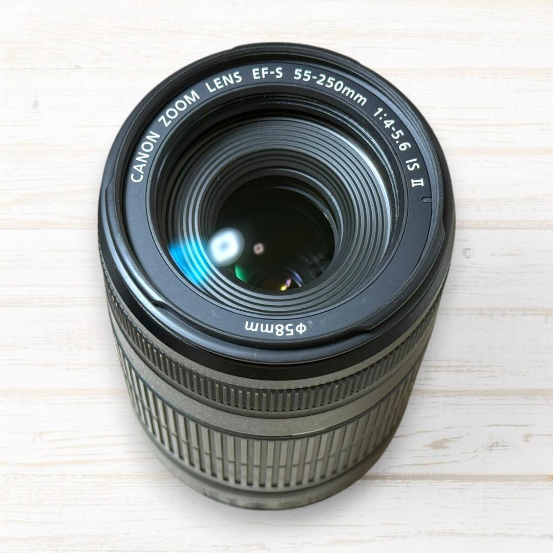 Canon ズームレンズ EF-S 55-250mm IS Ⅱ #121