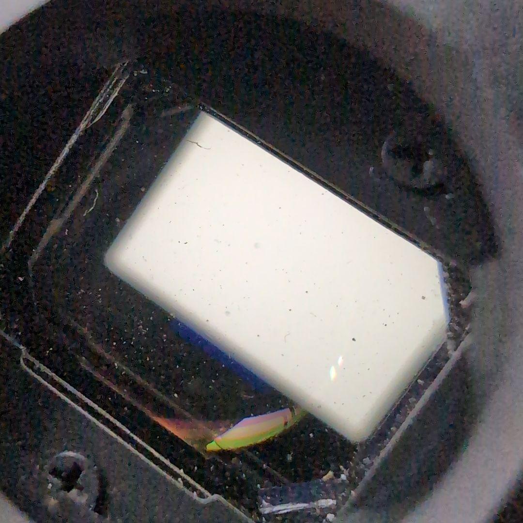 CONTAX コンタックス RTS Ⅲ ボディ 純正ストラップ