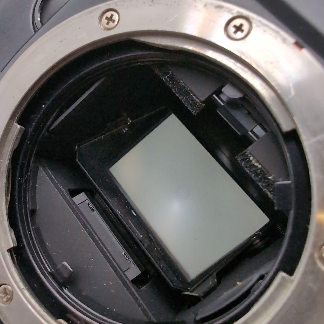 CONTAX コンタックス RTS Ⅲ ボディ 純正ストラップ