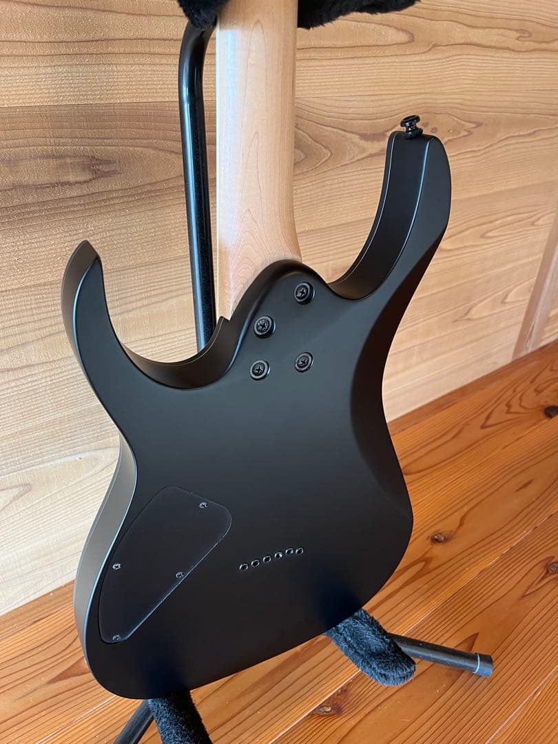 【Cherry】Ibanez RG421EX-BKF