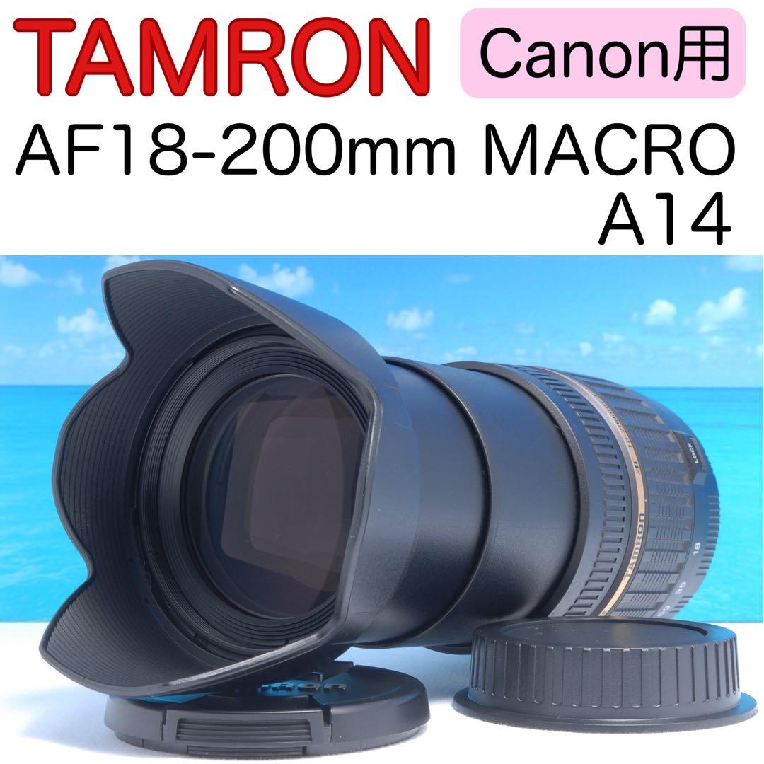 1本で近くから遠くまで対応✨タムロン AF 18-200mm✨Canon用