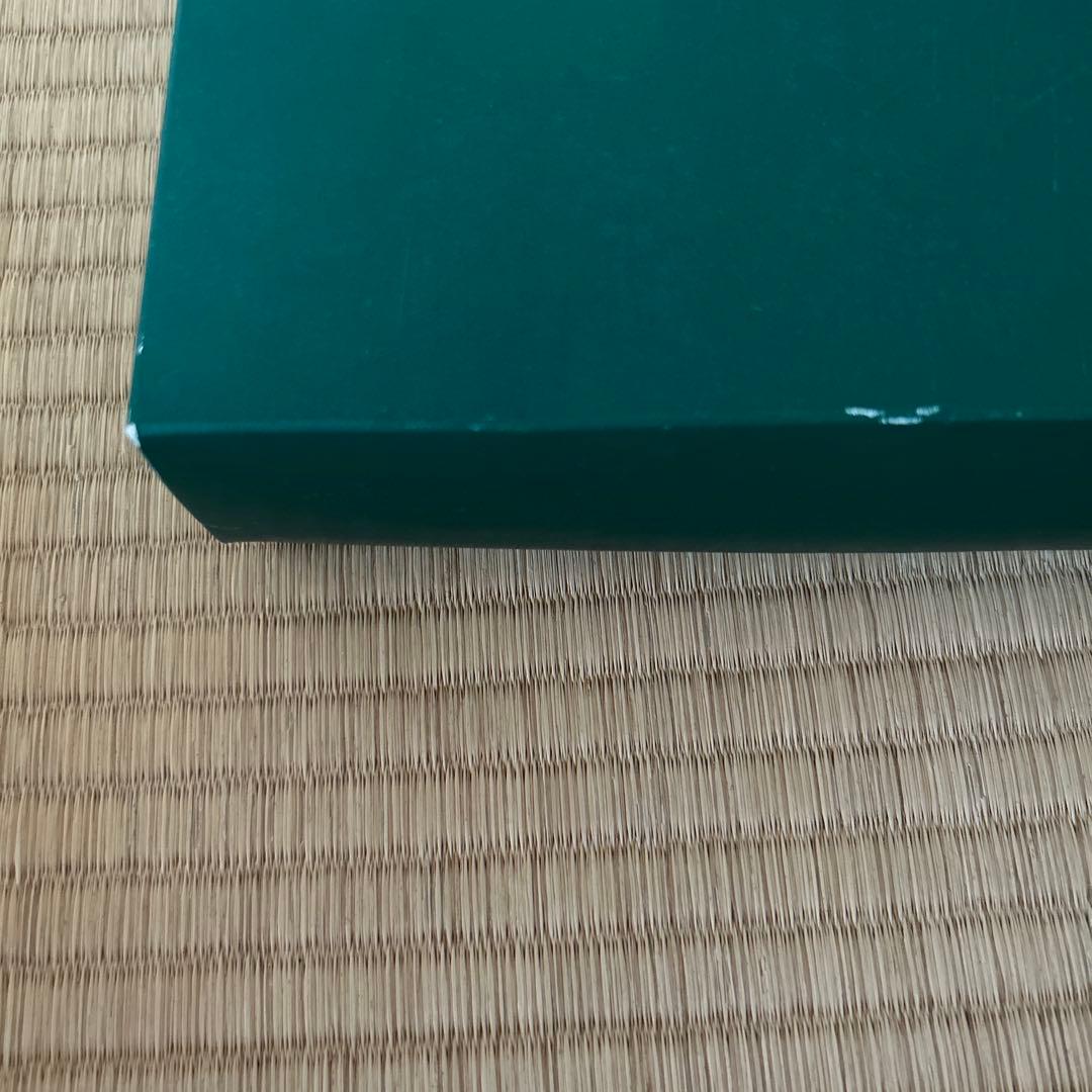 Villeroy&Boch バスケット　パスタ皿２枚