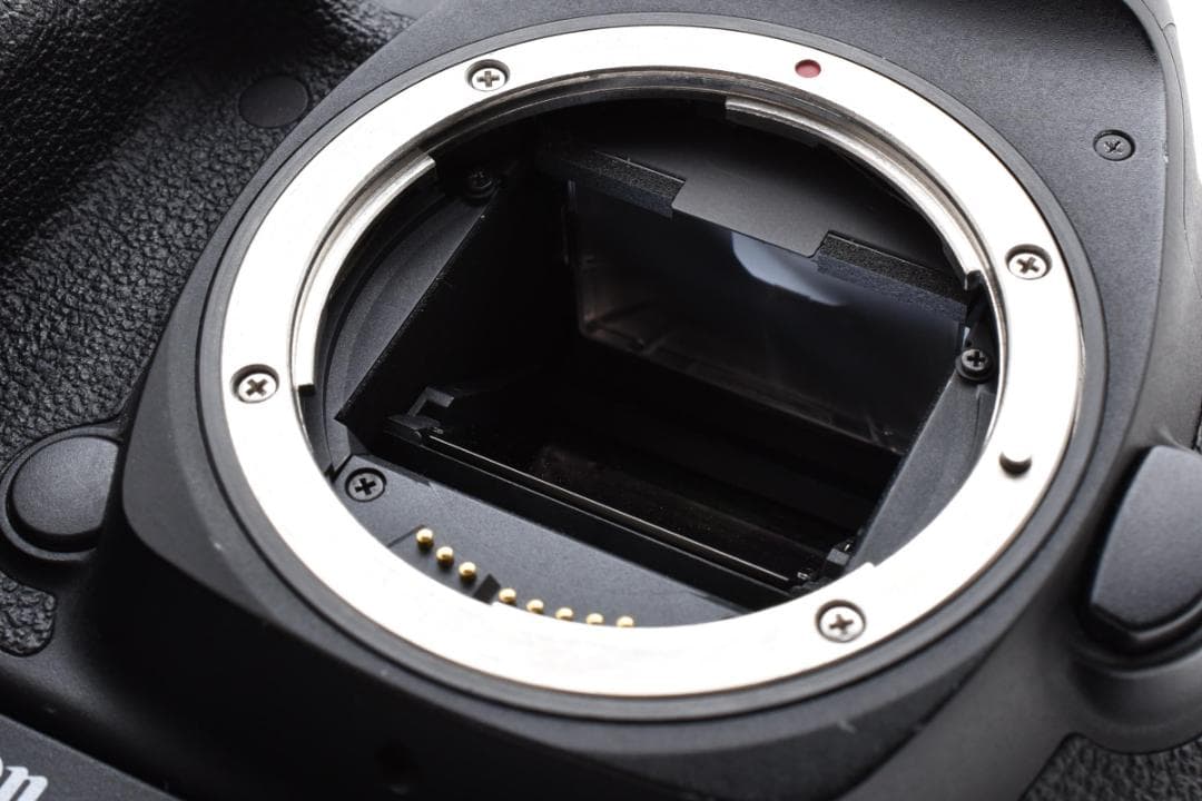 Canon EOS 5D Mark IV 本体