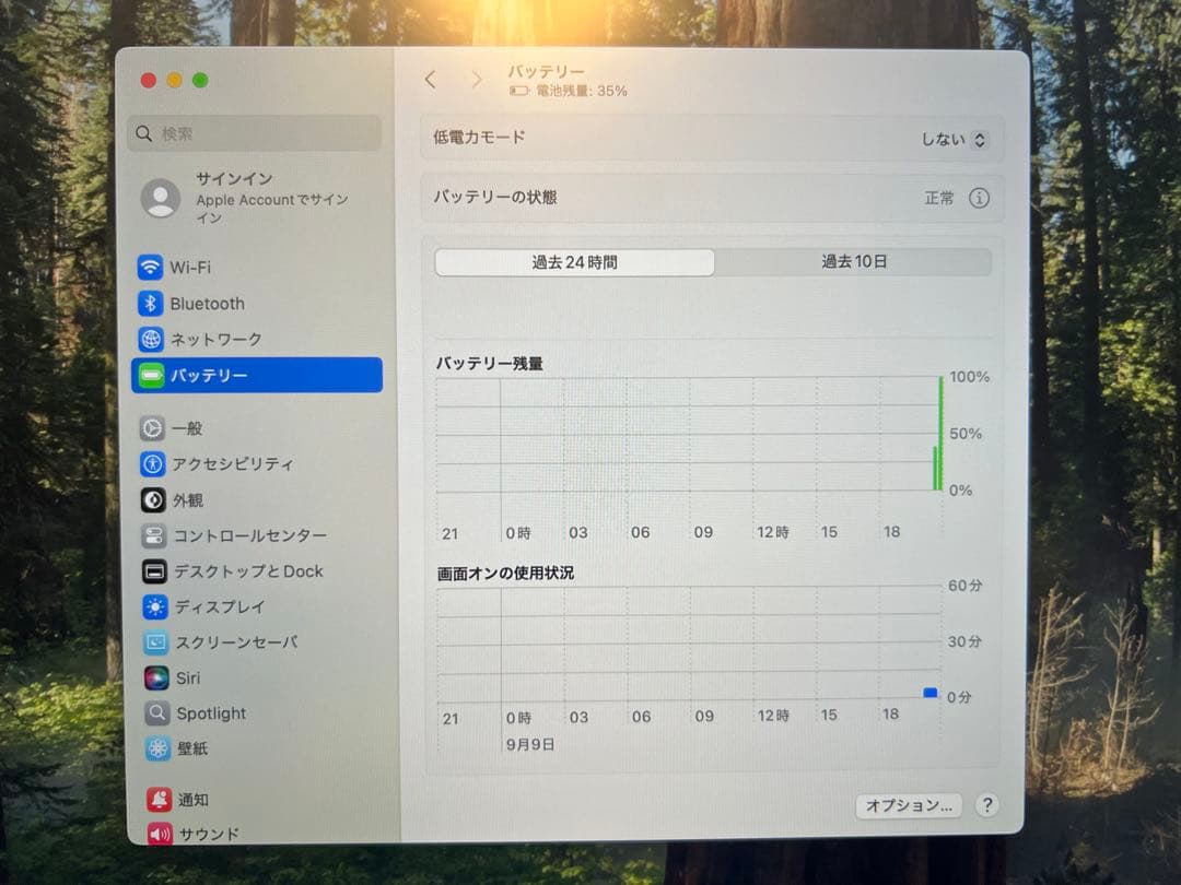 MacBook Pro 2019 1TB/メモリ16GB/13インチ
