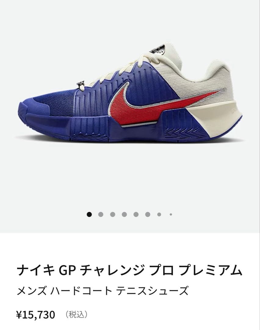 使用2時間 ほぼ新品 NIKE テニスシューズ GP チャレンジ Pro