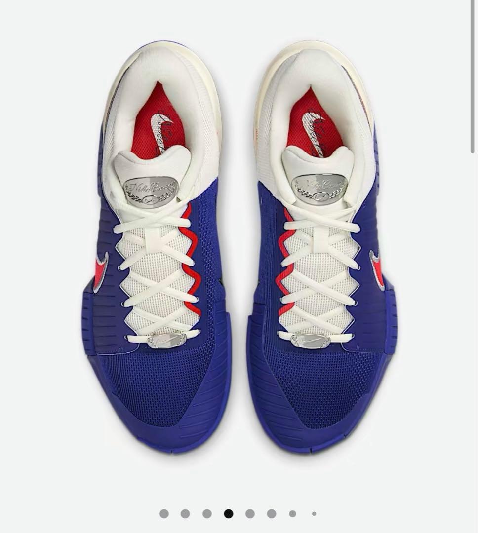 使用2時間 ほぼ新品 NIKE テニスシューズ GP チャレンジ Pro