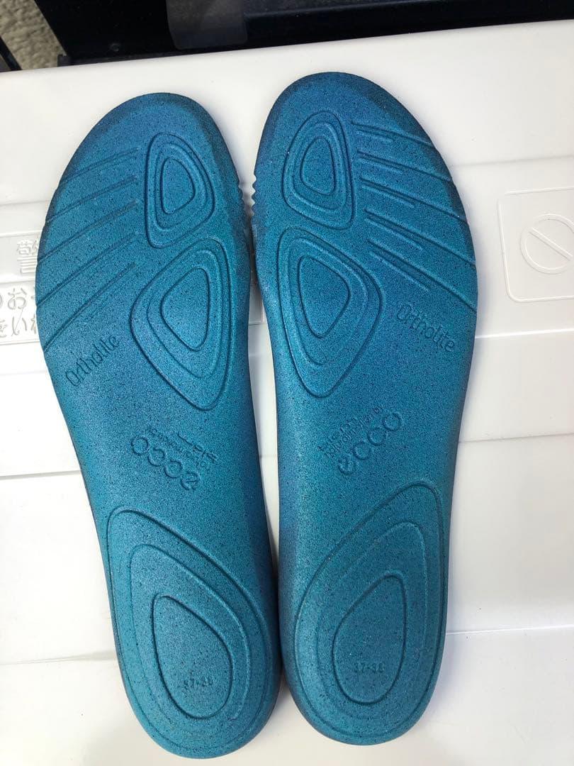 324番 超美品ECCO biom ゴルフシューズ38 24.0cmスパイクレス