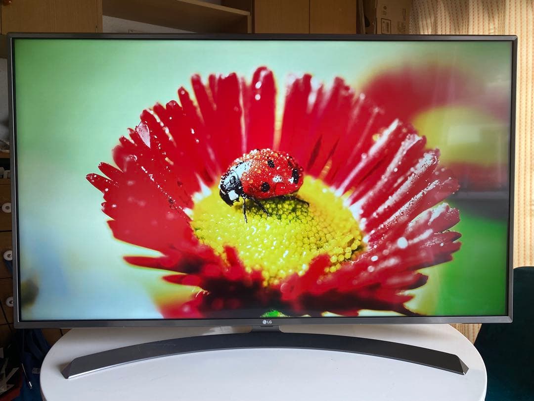 4K,Wi-Fi対応 アプリ多数 49インチ液晶テレビ LG 49UJ6500