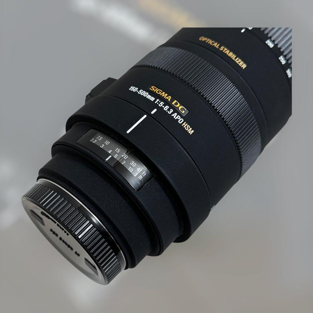 8814.シグマ APO 150-500mm F5-6.3 DG OS HSM