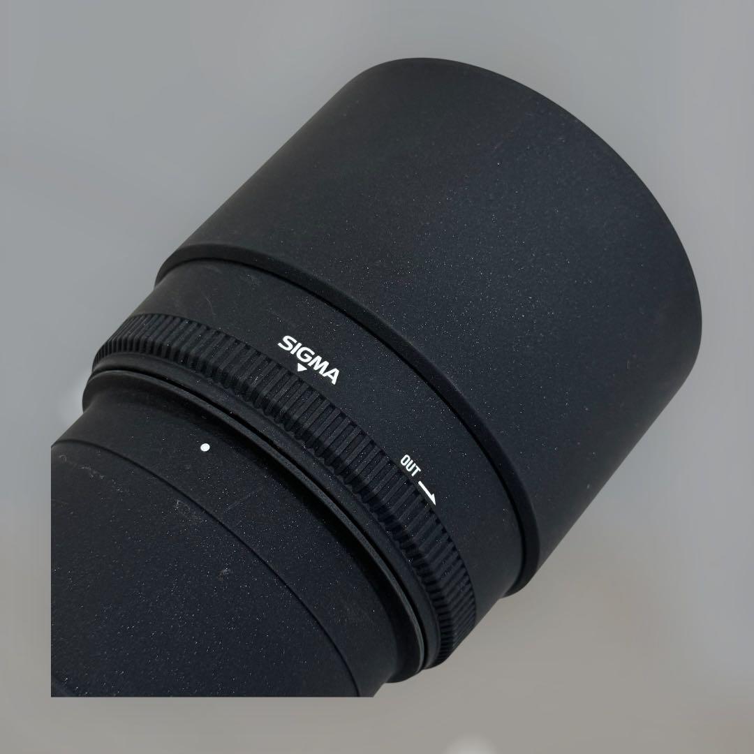 8814.シグマ APO 150-500mm F5-6.3 DG OS HSM