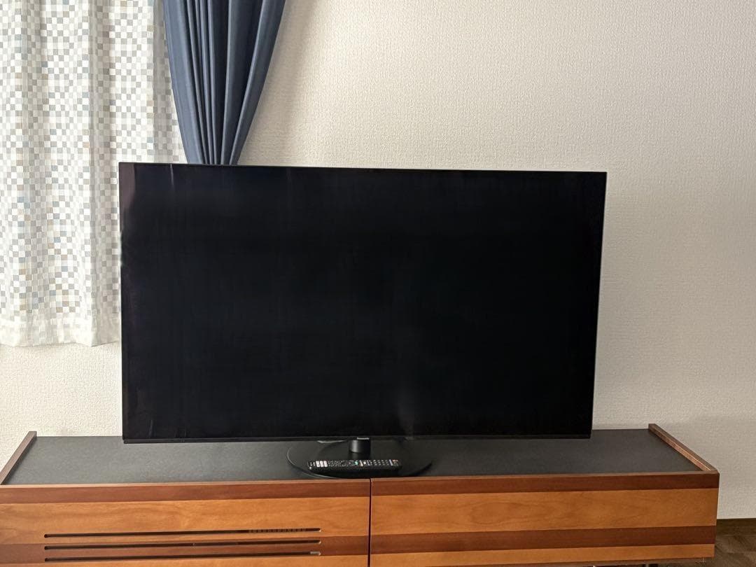 2021年型　Panasonic VIERA 55型4K対応有機ELテレビ