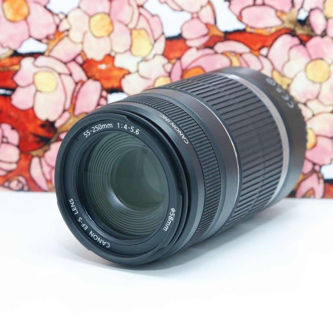 ❤お手頃望遠❤キヤノン EF-S 55-250mm F4-5.6 IS ❤