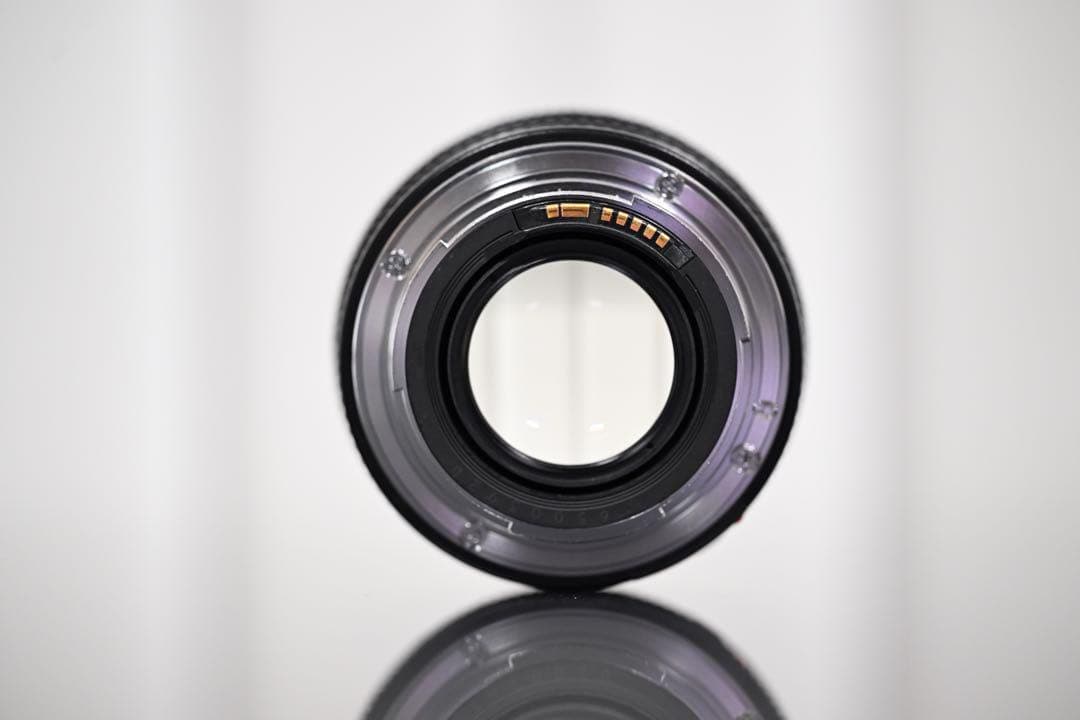 Canon EOS 80D デジタル一眼レフカメラ