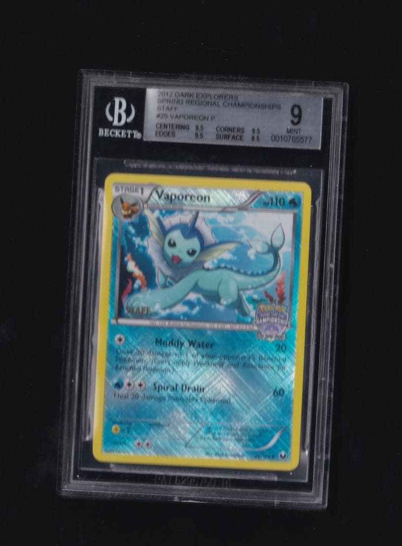 英版シャワーズ チャンピオンシップSTAFFプロモ - BGS MINT9